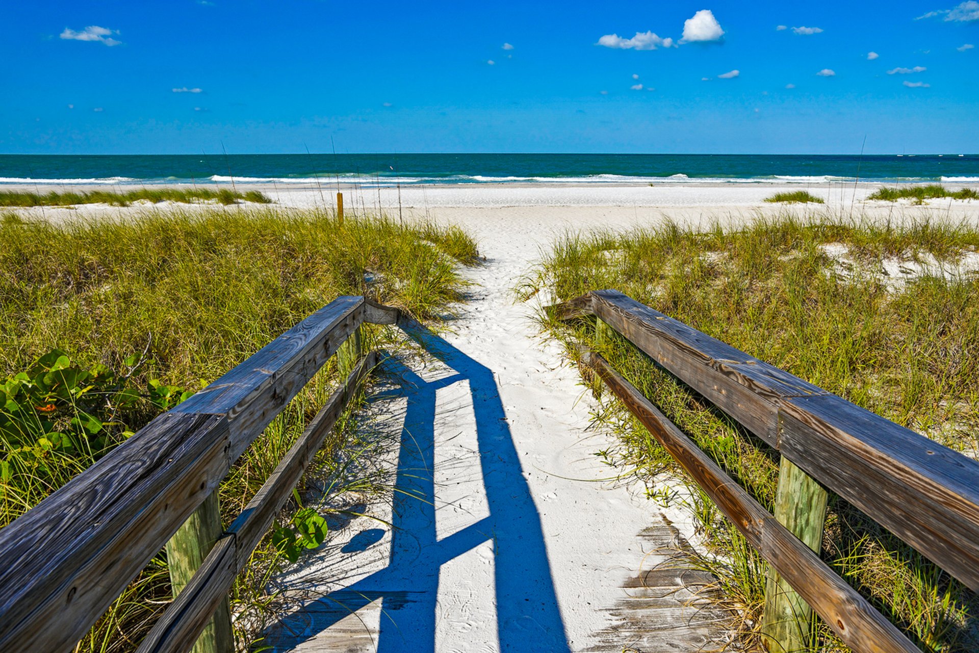 The Fancy Flamingo 40