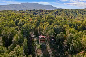 otterbeswimmingfall9