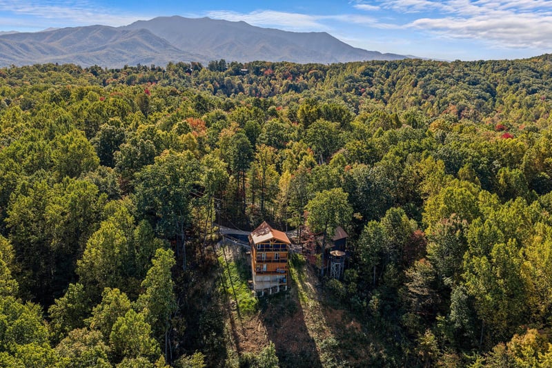 otterbeswimmingfall9