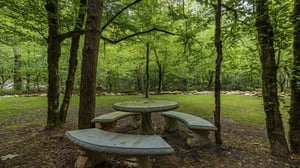 Outdoor seating and table