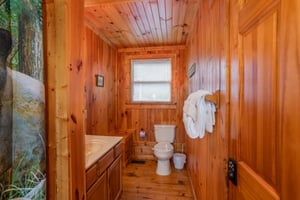 Toilet with single vanity sink