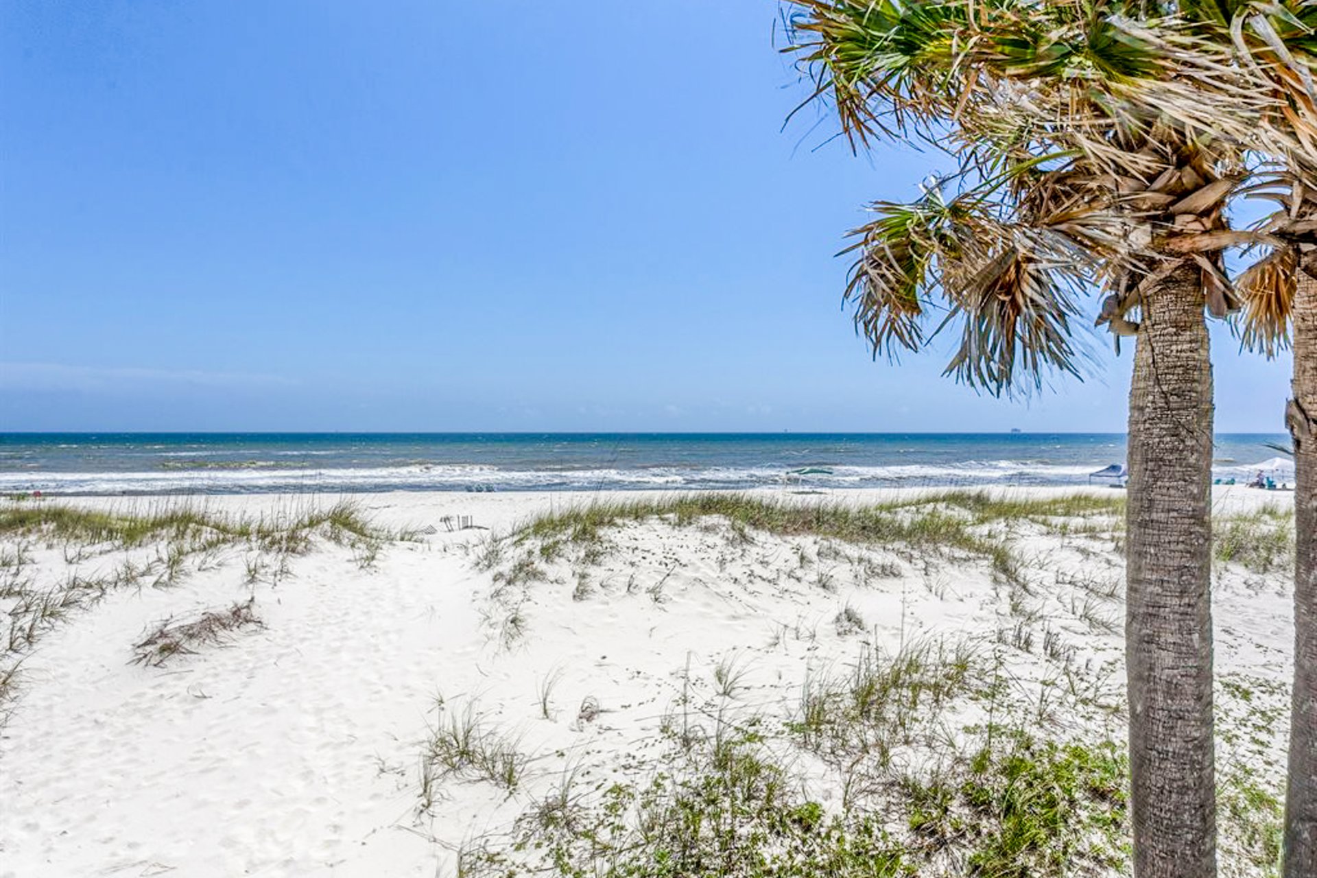 Sea Oats E 33