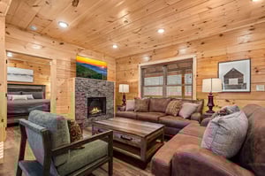 Living Room Fireplace Area