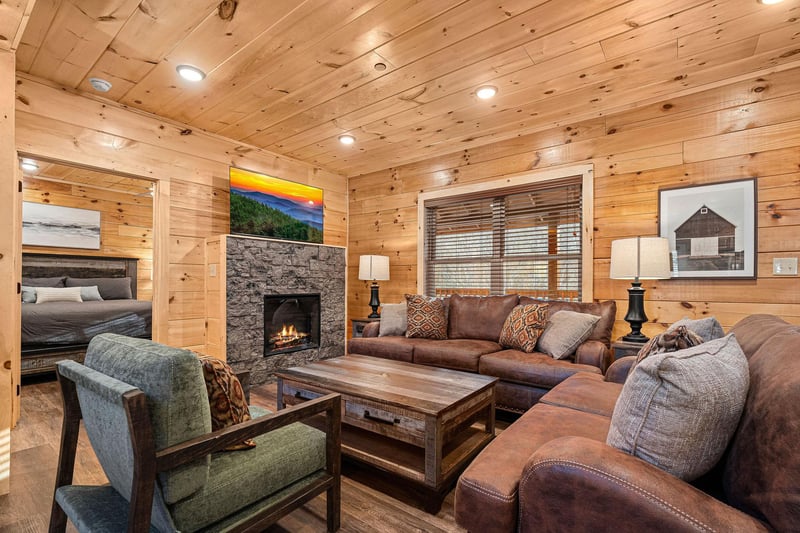 Living Room Fireplace Area