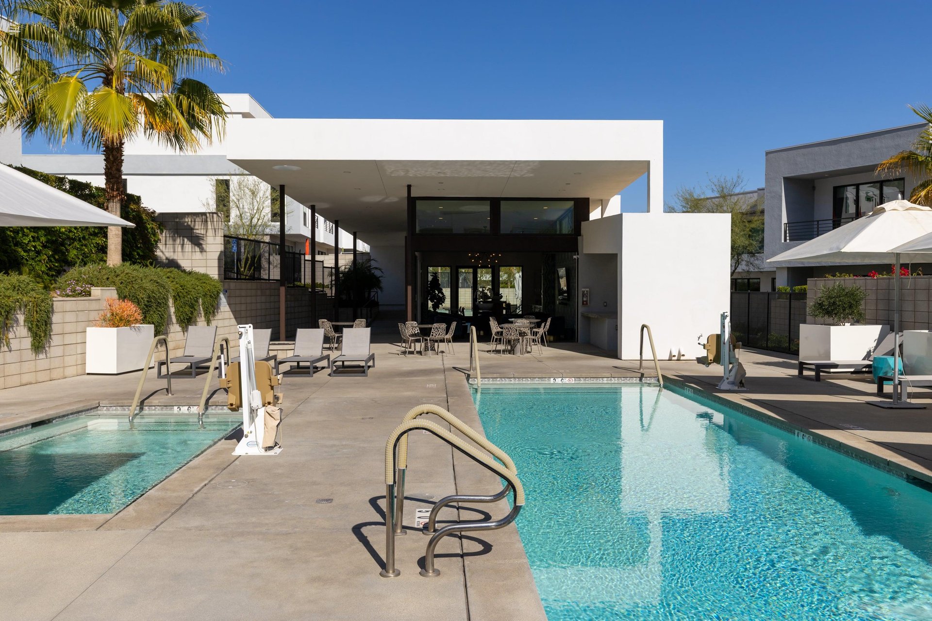 Modern pool oasis