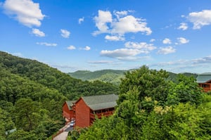 bearlyhighviews28