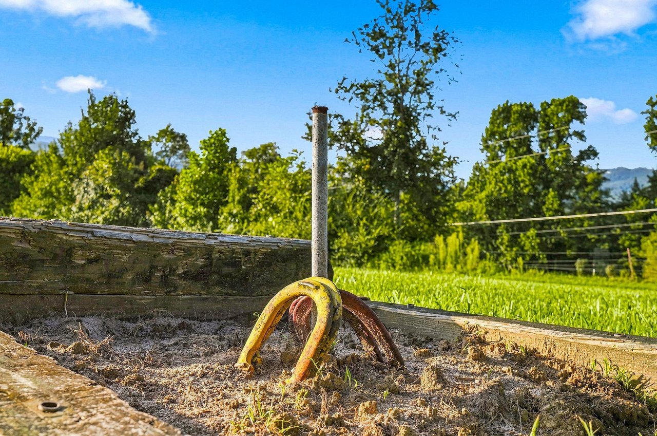 This property features a horseshoe pit for traditional outdoor games surrounded by lush trees and natural landscape.