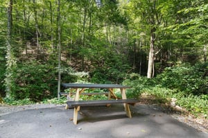 cabinbythecreekside33