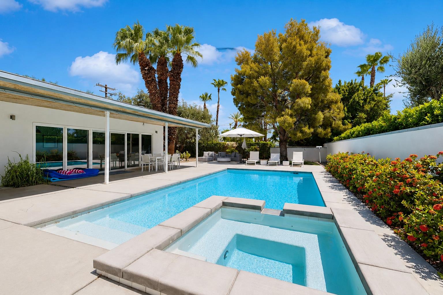 Palm Trees surround the entire yard