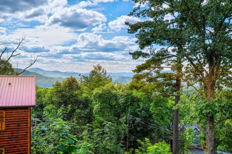 Views from Heavenly Haven
