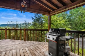 outdoor grill and views