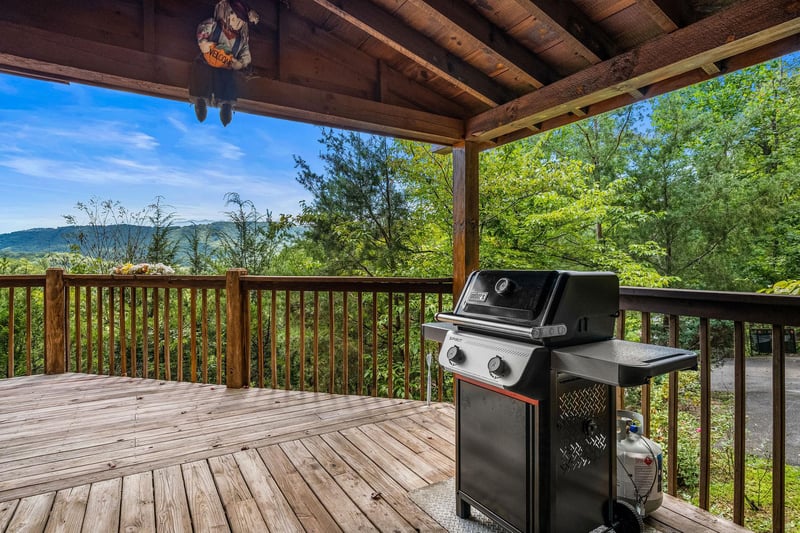 outdoor grill and views