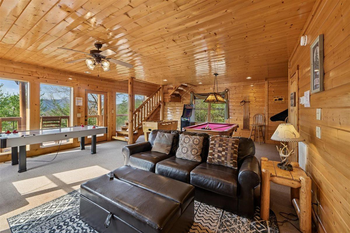 Family Room Downstairs