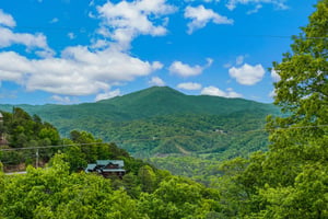 Aerial Property View