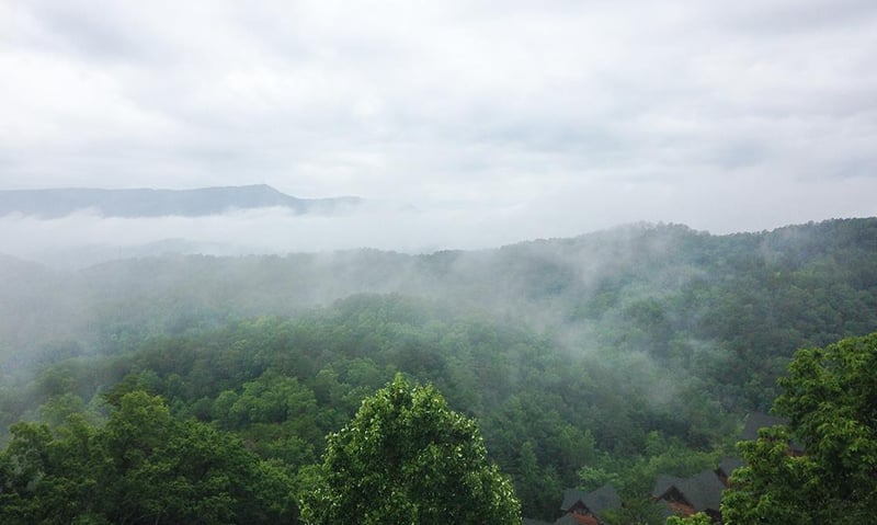View from Deck