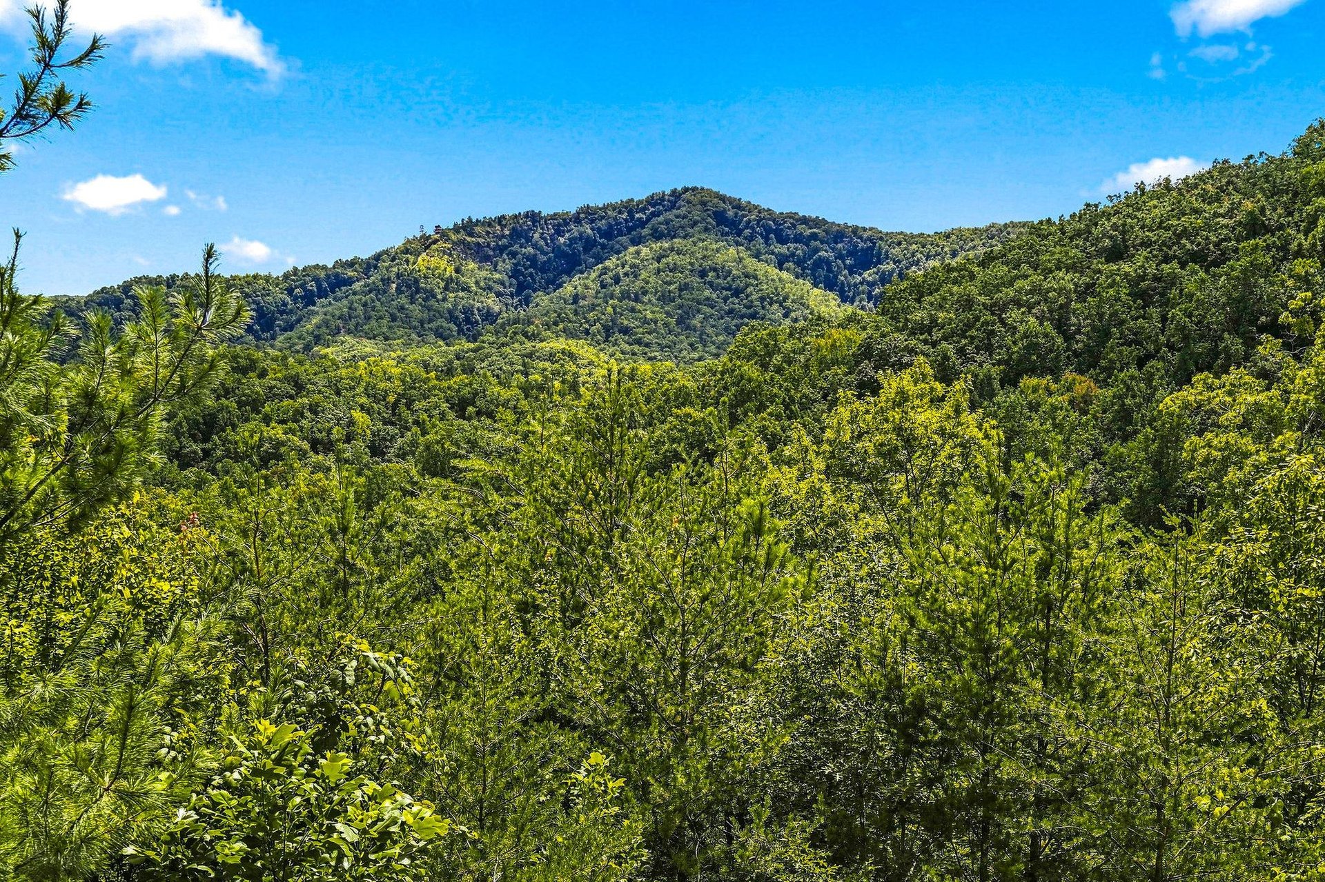 This property is nestled in a lush mountain setting with forested peaks and abundant natural beauty surrounding the area.