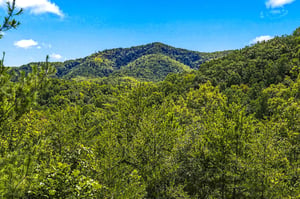 This property is nestled in a lush mountain setting with forested peaks and abundant natural beauty surrounding the area.