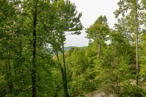 View from Dukes Den cabin