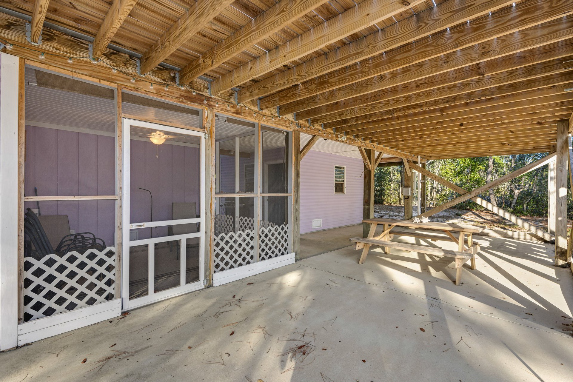 The Purple Palmetto 20