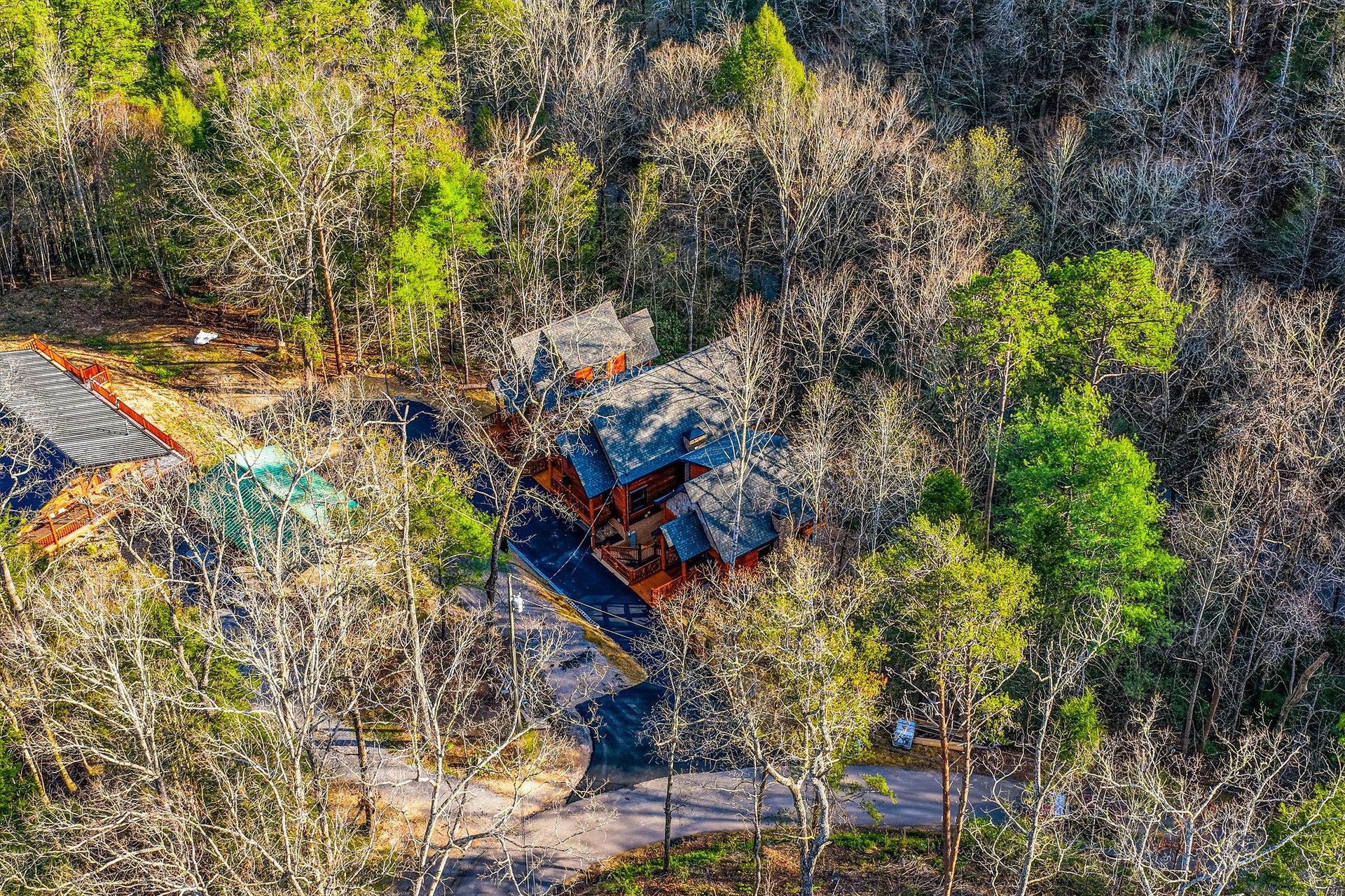Secluded cabin retreat nestled among towering trees, offering complete privacy and natural beauty in a peaceful wooded setting.