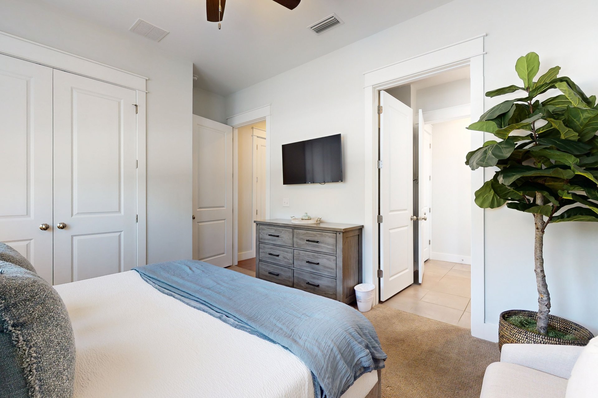 Sunny amp Central 12