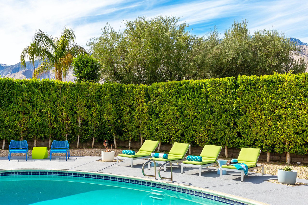 Relax in Sunny Palm Springs