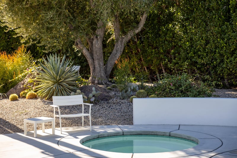 Tranquil desert garden