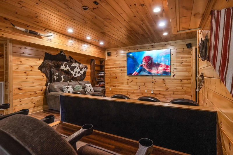 Theater Screen