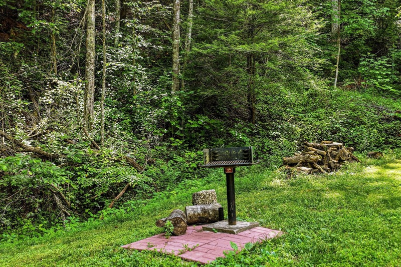 A private barbecue grill nestled in lush forest surroundings, perfect for enjoying outdoor meals in peaceful natural setting.