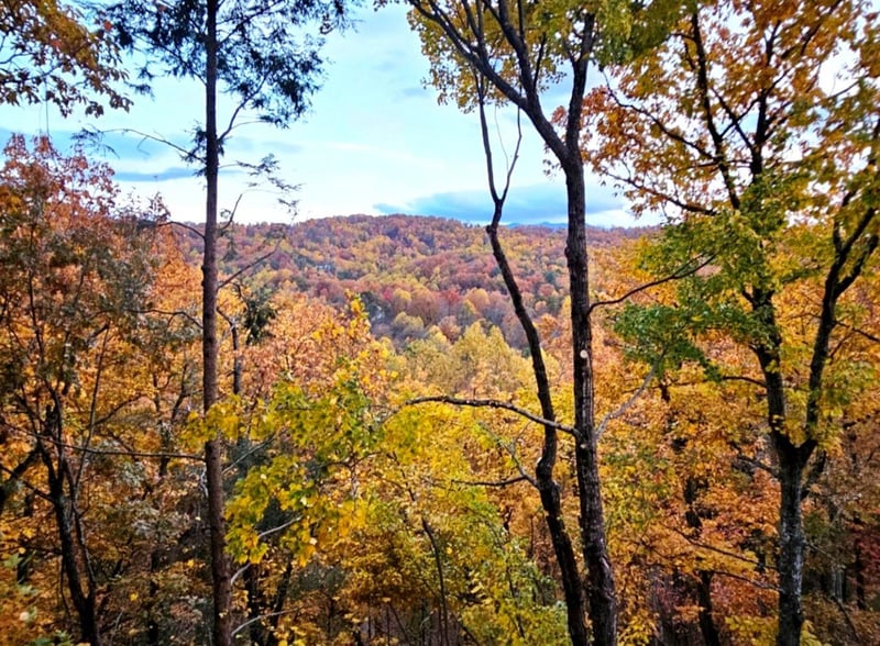 Stunning autumn foliage blankets the surrounding mountains, showcasing natures vibrant seasonal palette visible from the propertys elevated vantage point.