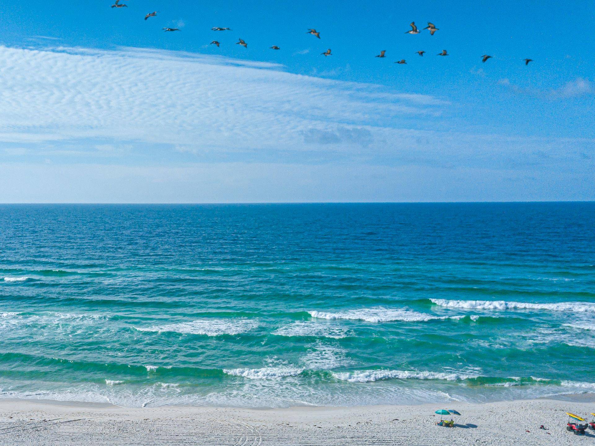 Navarre Beach