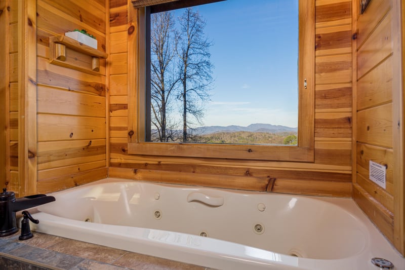 jacuzzi tub with window