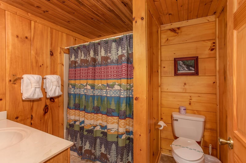 Shower with divider wall and toilet