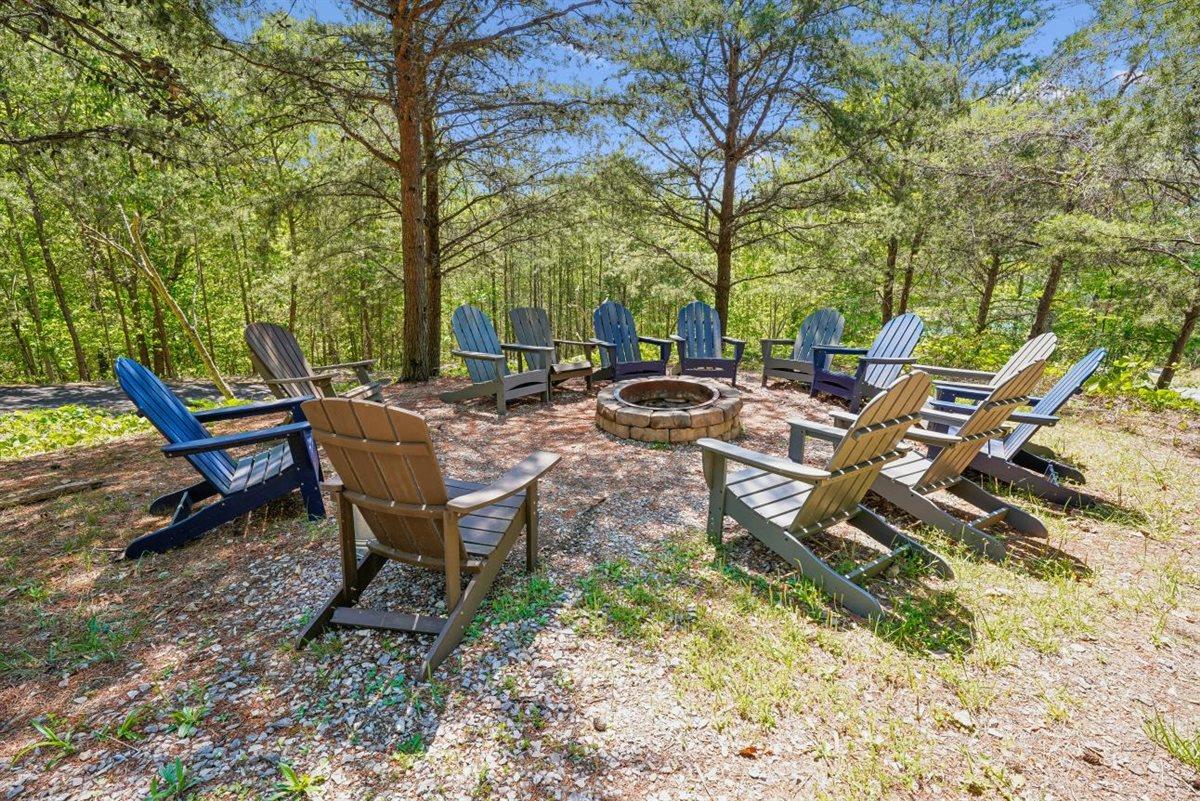 136Backyard