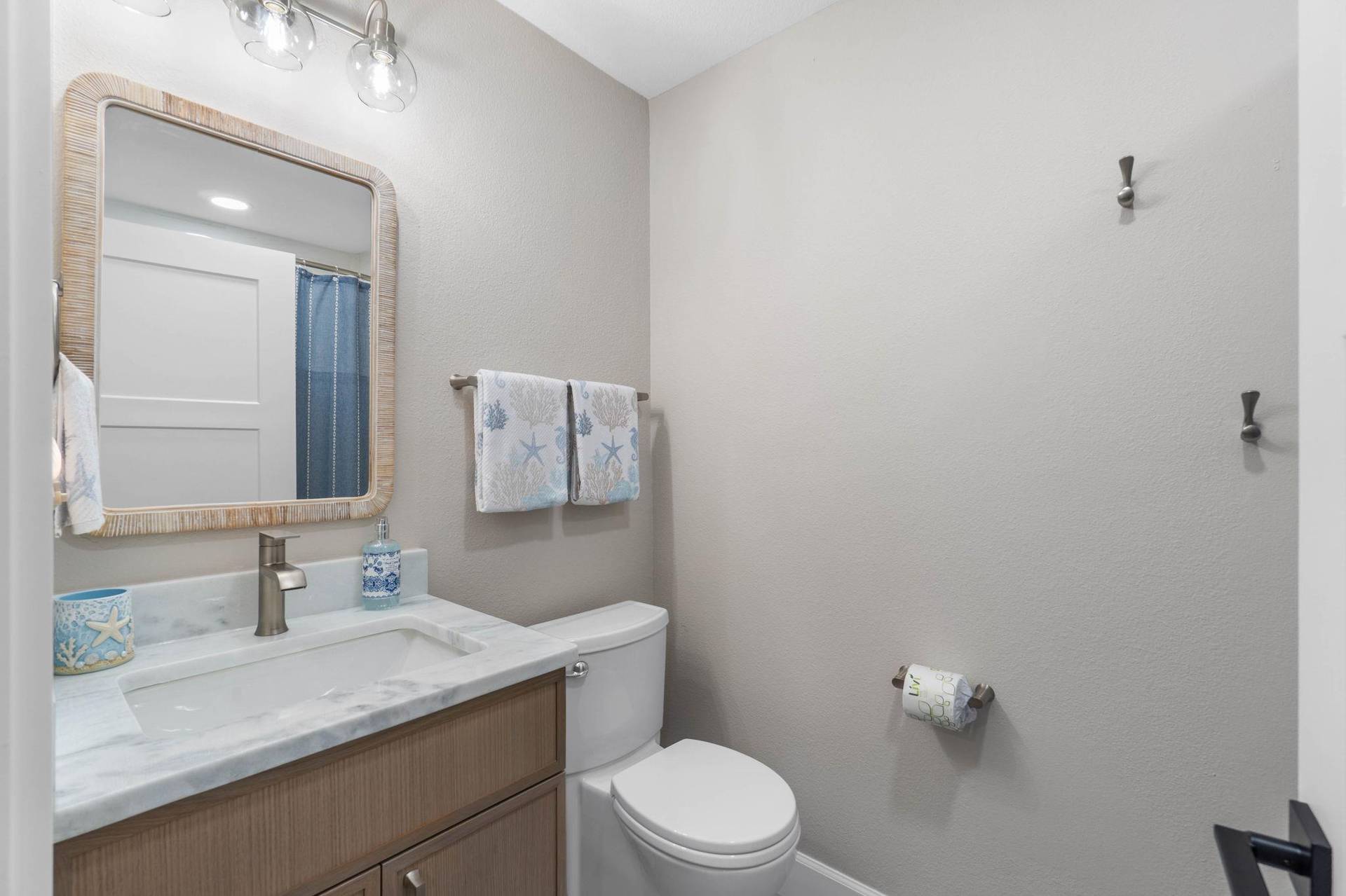 Guest Bathroom TubShower