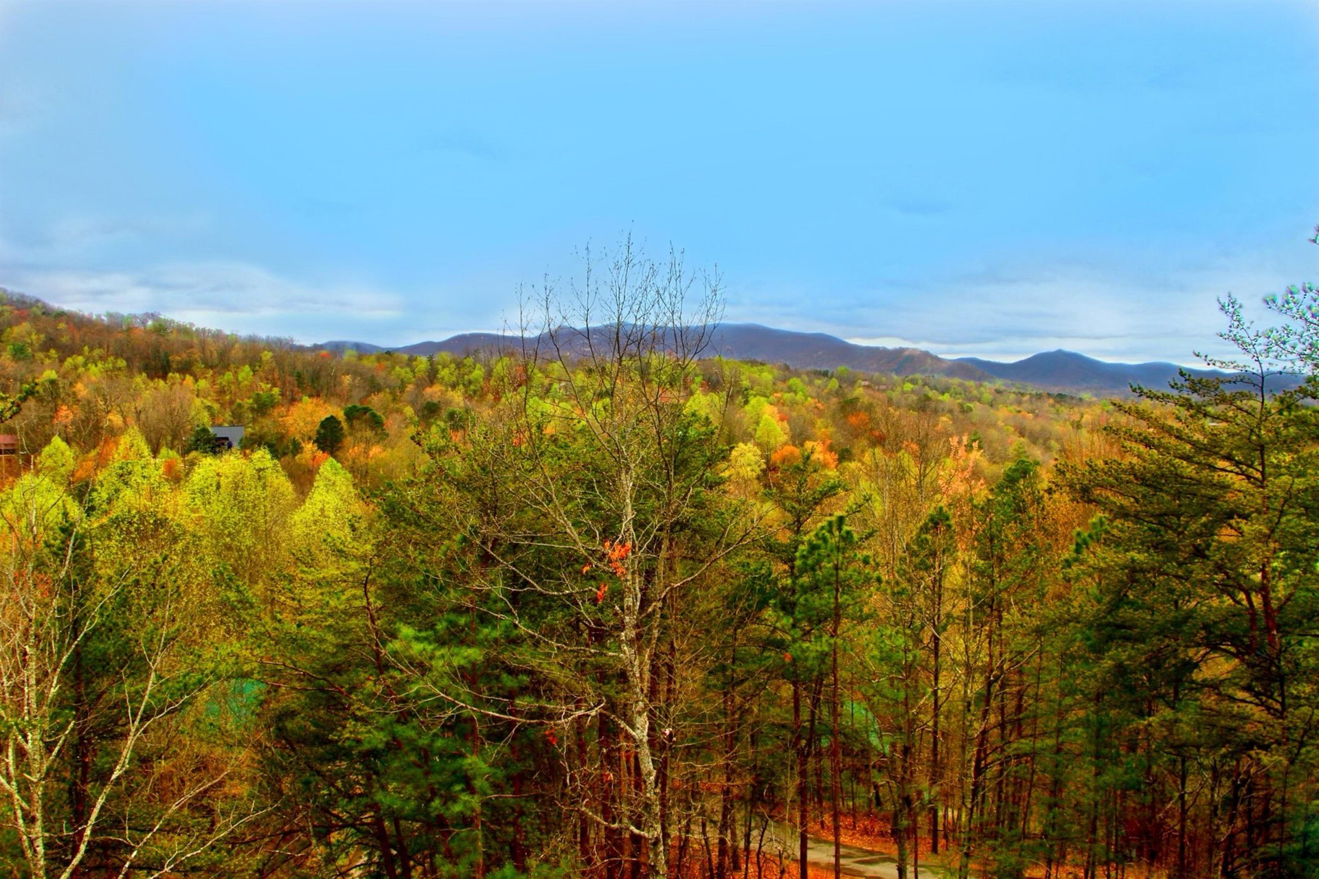 View