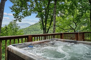 mountainmoonshine24