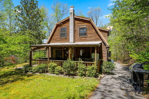Charming log cabin retreat nestled among towering trees, featuring a welcoming covered porch and peaceful woodland surroundings for your perfect getaway.