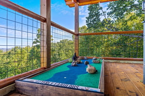 otterbeswimmingfall6