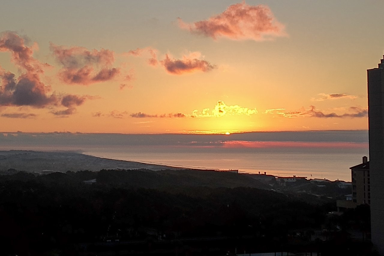 Luau 6925  Eastern Sky 1