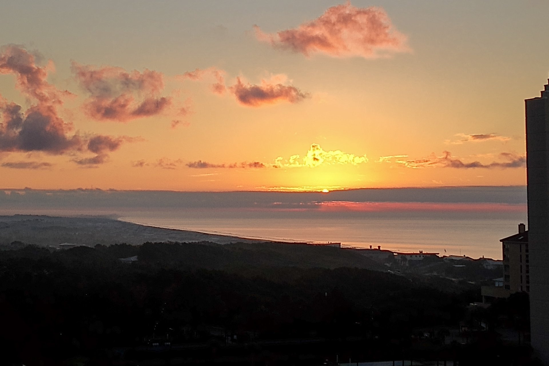 Luau 6925  Eastern Sky 1