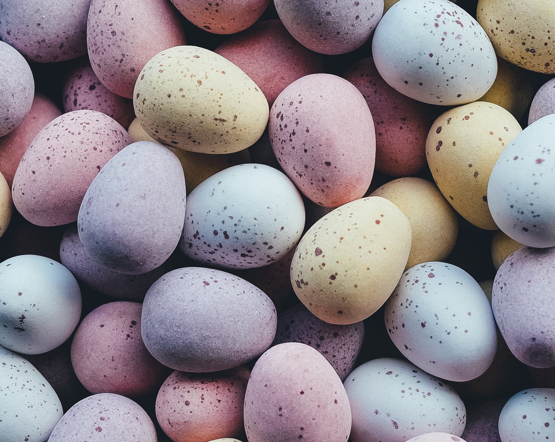 cinnamonshoreeaster cinnamonshoreeaster