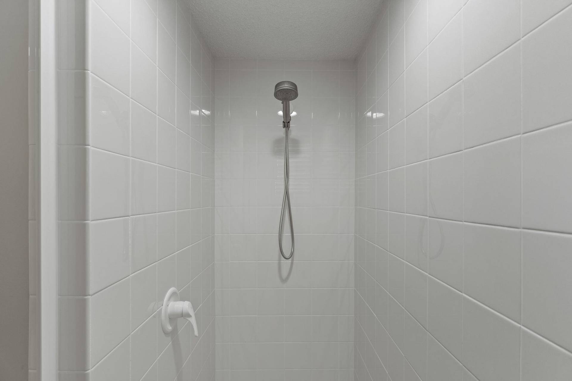 Guest Bathroom 2 Walkin Shower