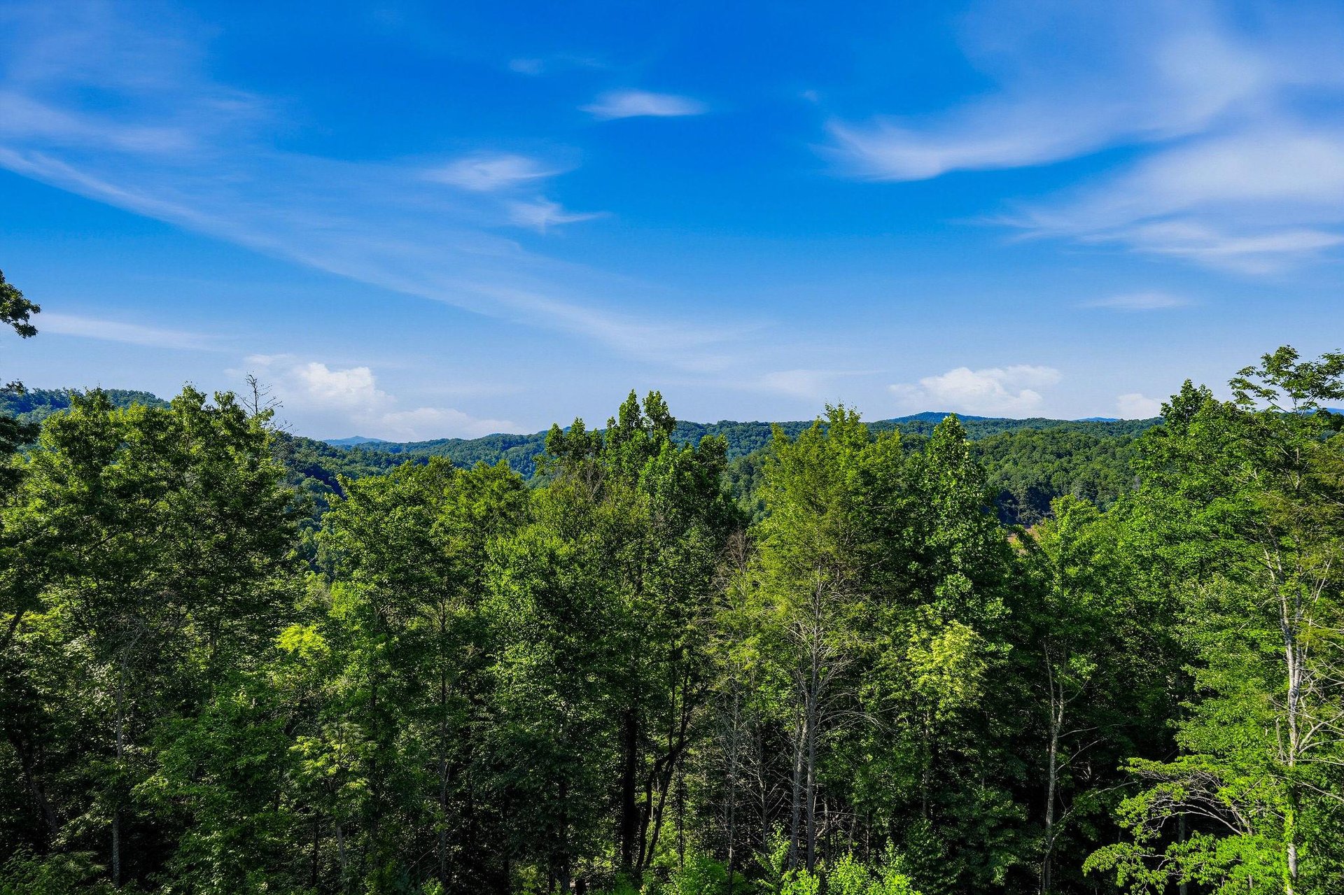 Lush forested mountains and rolling hills stretch across the horizon beneath a brilliant blue sky, framing the peaceful natural setting surrounding the property.