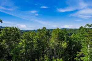 Lush forested mountains and rolling hills stretch across the horizon beneath a brilliant blue sky, framing the peaceful natural setting surrounding the property.