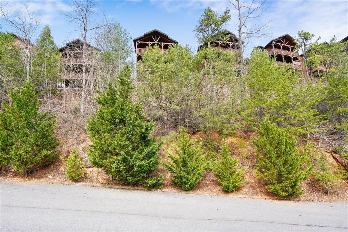 10View
