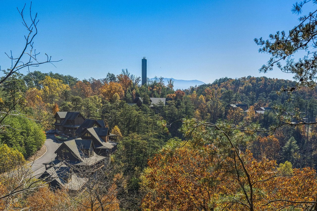 thewolvesden25