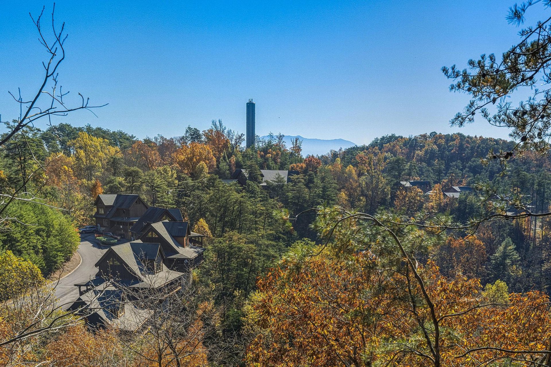 thewolvesden25