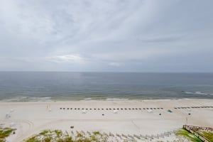 4465463.jpg