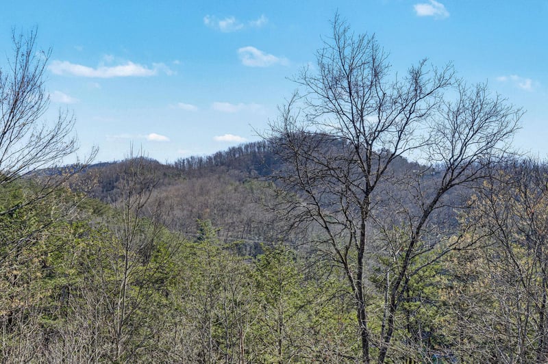 Rolling mountain vistas showcase the natural beauty surrounding the property area with scenic forested hills and clear blue skies.